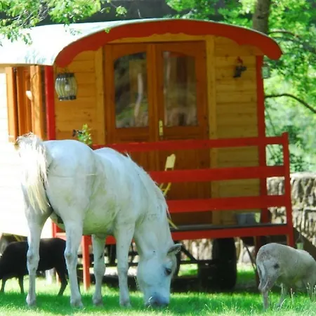 Guest house La Ferme De Lancizolle *