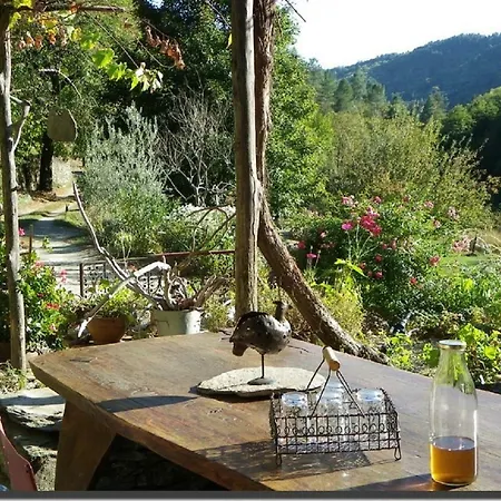 La Ferme De Lancizolle *